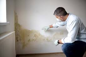 Best HVAC Mold Inspection and Cleaning  in USA